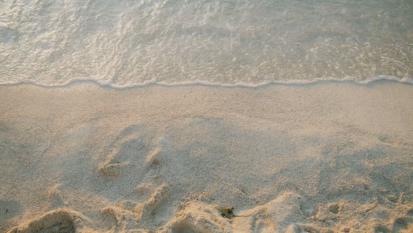Beach Vibes