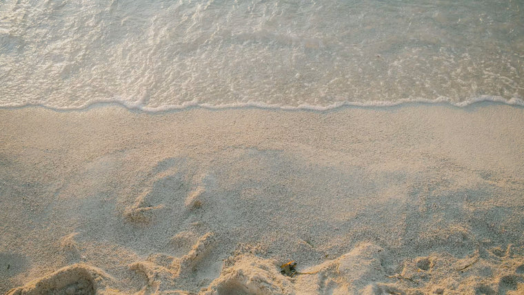 Beach Vibes collection