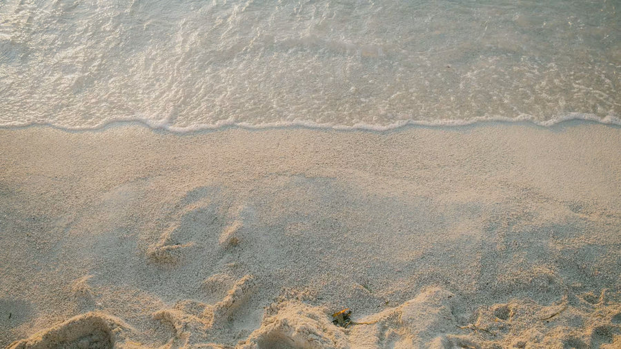 Beach Vibes